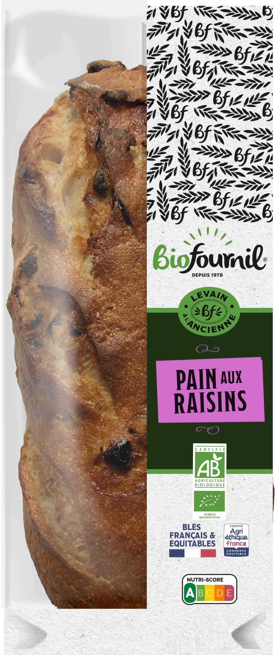 PACK_PAIN AUX RAISINS