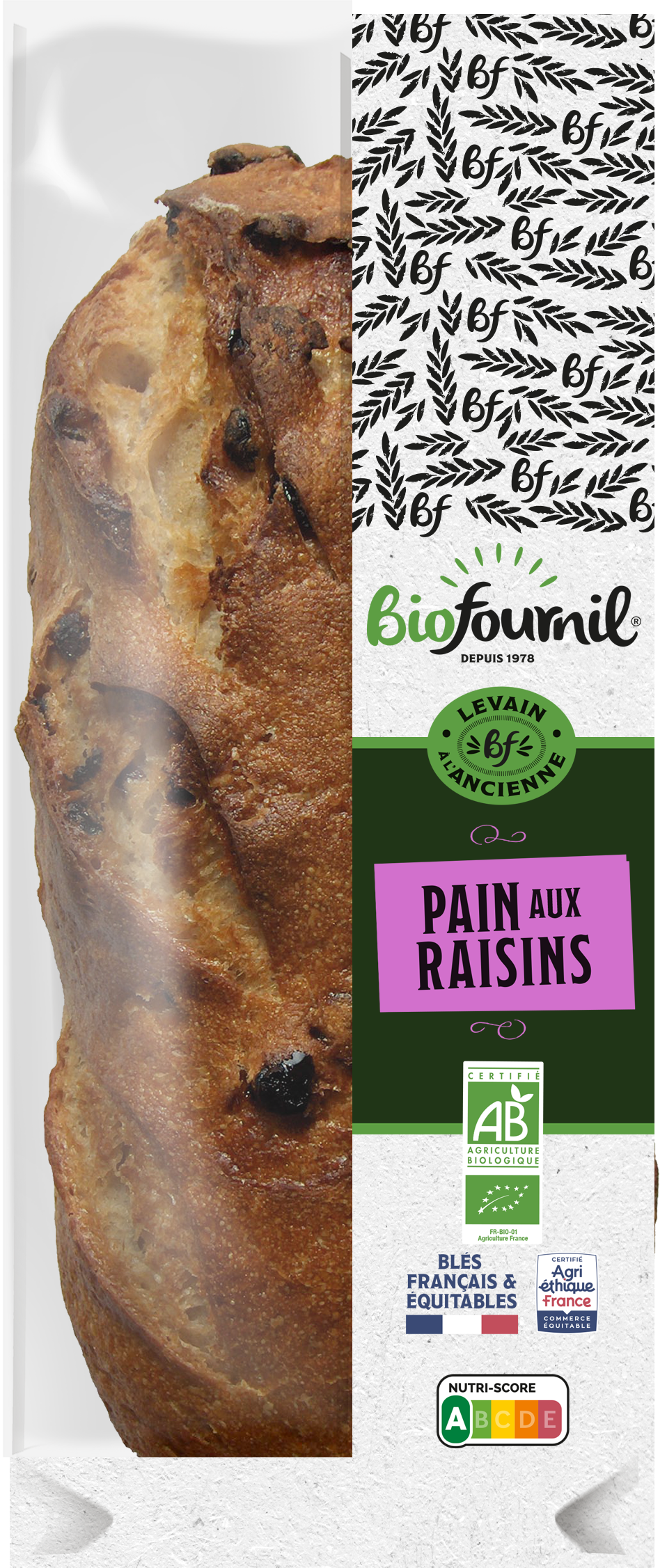 PACK_PAIN AUX RAISINS