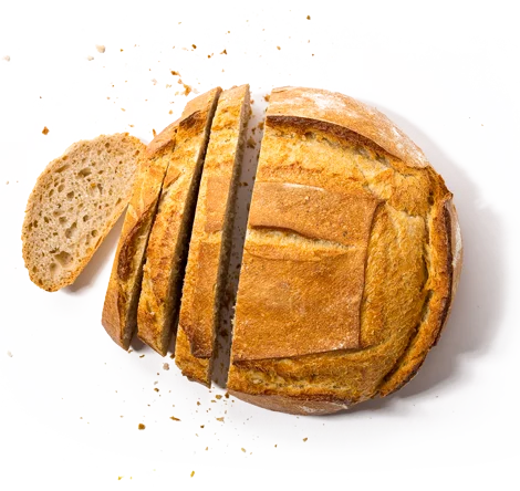 Biovision pain
